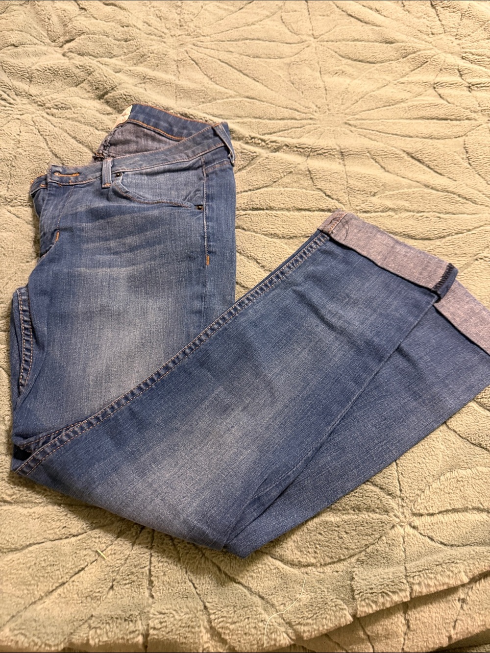 Hudson Crop Leg Jean